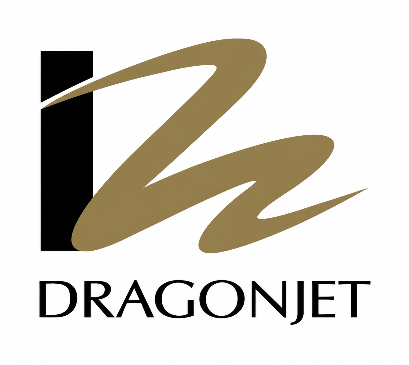 Logo CÔNG TY TNHH VIỆT NAM DRAGONJET